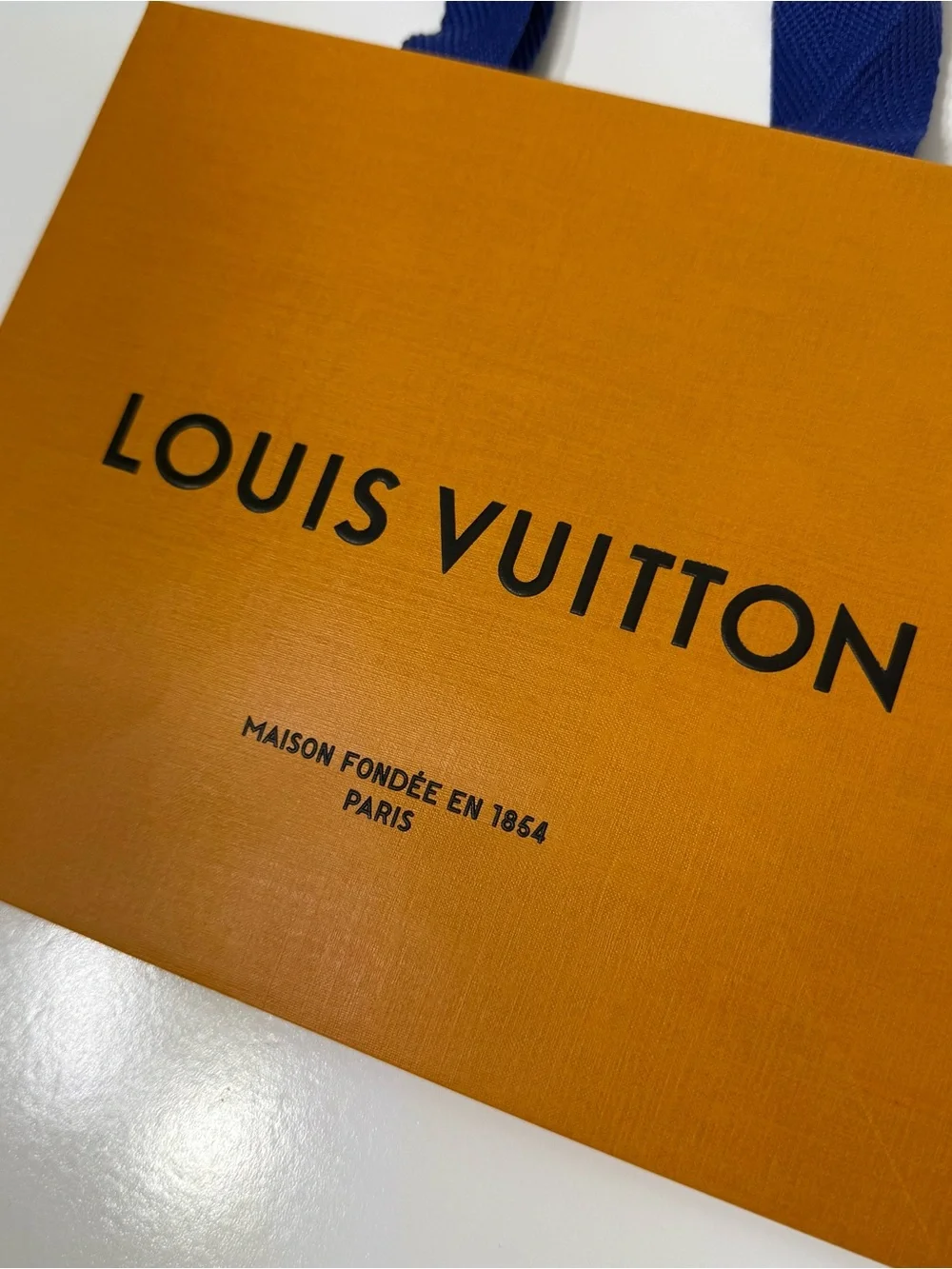 Louis Vuitton & Cartier Mini Shopping Gift Bags Set of 2